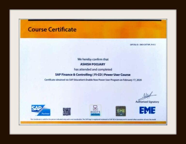Sap fico certificate Roots Institute 2